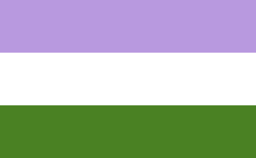 A bandeira GenderQueer