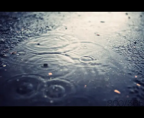 Gotas que caiem numa pequena poça na estrada