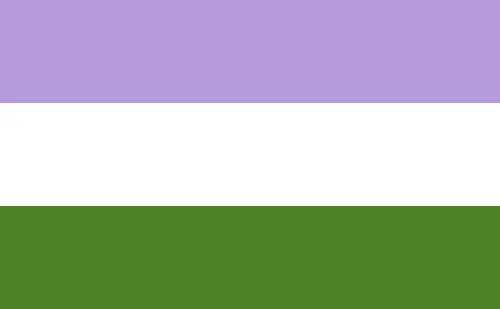 A bandeira GenderQueer